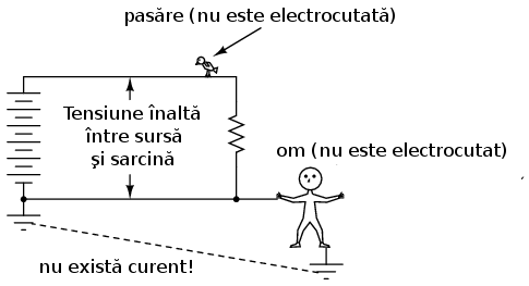 00057.png