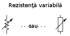 00339.png
