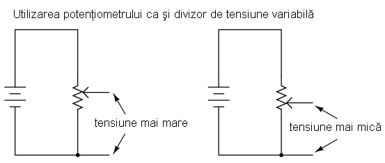 00363.png