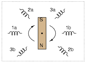 înfăşurările unui motor de curent alternativ trifazat 02193.png
