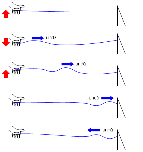 exemplificarea propagării undelor de tensiune şi curent cu ajutorului unei sfori; reflectarea undei 02366.png