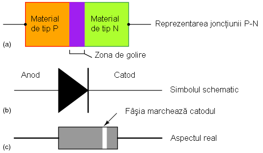 reprezentarea diodei: (a) joncţiunea P-N; (b) simbolul schematic; (c) aspectul real al diodei 03250.png