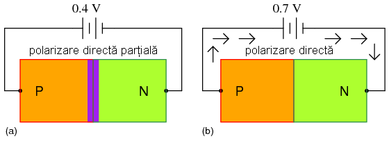 polarizarea directă a diodei: (a) parţială; (b) completă 03252.png