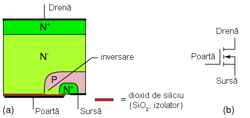 03305.png